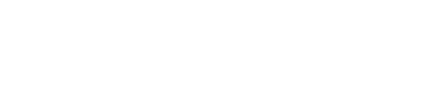 Logotype New Age Instruments