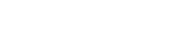Logotype Opton International