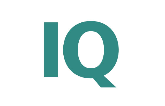 Logotype Institute of Quantum Optics